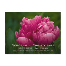 Peony • Save the Date Postcard postcards