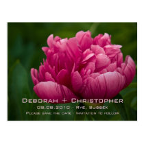 Peony • Save the Date Postcard postcards