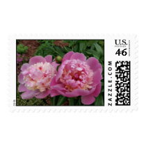 Peony Stamp stamps