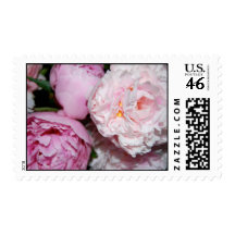 Peony Stamp