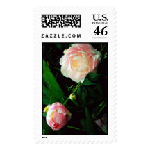 Peony Stamps