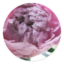 Peony stickers by HoneyOrb Peony stickers