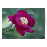 Peony "Sword Dance" Card