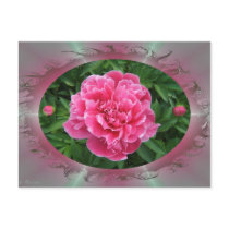 Peony w/buds ~ postcard