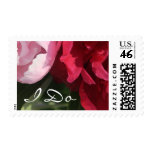 Peony Wedding Flowers Postage Stamp