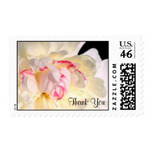 Peony with Red Thank You Postage