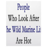 People Who Look After The Wild Marine Life Are Hot Letterhead Template