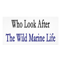 People Who Look After The Wild Marine Life Are Hot photo cards