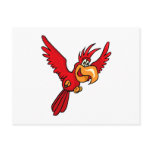 Pepe Parrot Post Cards