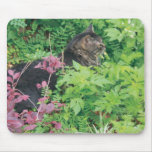 Pepe the cat in the garden mouse pad