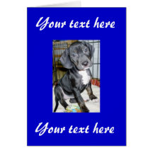 Pepper - Customizable Note Card