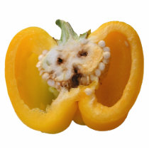 Pepper Lion ~ ornament photo sculptures by Andy2302 Pepper Lion ~ ornament photo sculptures