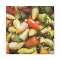 Pepper Magnet 01
