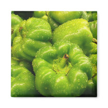 Pepper Magnet 02