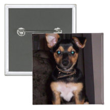 Pepper the Dog At Attention Button