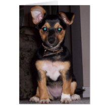 Pepper the Dog At Attention Card