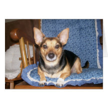 Pepper the Dog Lounging Card