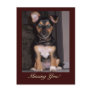 Pepper the Dog Missing You Postcard