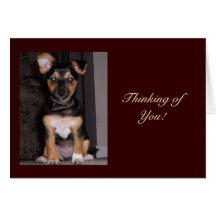 Pepper the Dog Thinking of You Card