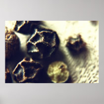 Peppercorns Print posters