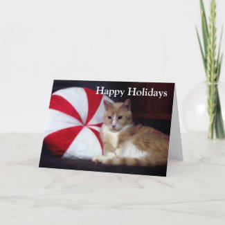 Peppermint Cat Holiday Greeting Card card