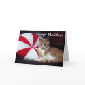 Peppermint Cat Holiday Greeting Card by Victoreeah Peppermint Cat Holiday Greeting Card