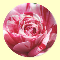 Peppermint Rose stickers