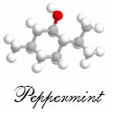 Peppermint t-shirts by Nushka Peppermint t-shirts