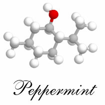 Peppermint t-shirts by Nushka Peppermint t-shirts