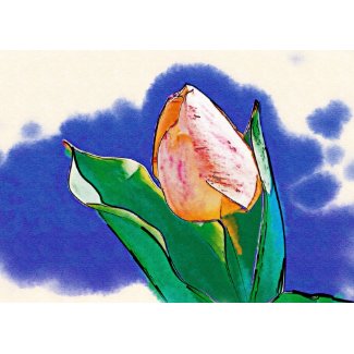 Peppermint Tulip Drawing card