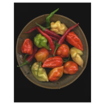 Peppers flyers by jarthurdavis Peppers flyers
