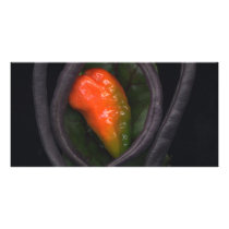 Peppers photo cards by jarthurdavis Peppers photo cards