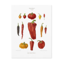 Peppers Postcard