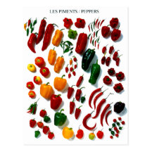 Peppers Postcard
