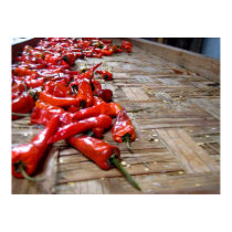 Peppers posters by mnvang Peppers posters