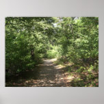 Pequea Trail Poster