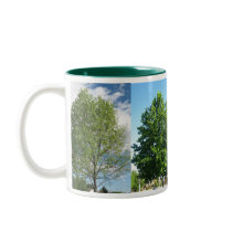 pequeña caída, pequeña primavera, pequeño verano,  tazas