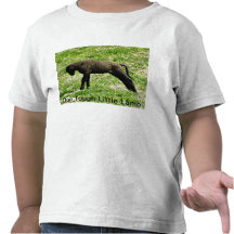 Pequeña camiseta dura del niño del cordero