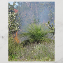 Pequeño bushfire tarjetas informativas