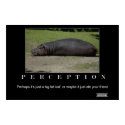 perception poster posters