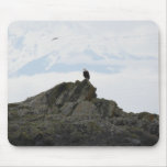 Perched Bald Eagle Mouse Pads