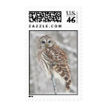 Perched Owl - Stamp