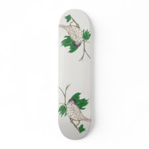 Perched Custom Skateboard