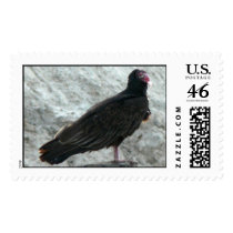 Perched vulture. stamps