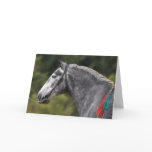 Percheron draft horse birthday card