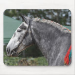 Percheron draft horse mare mouse pads