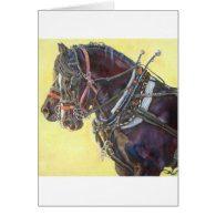 Percheron Draft horse team greeting card
