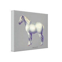 Percheron Horse canvas Canvas Print