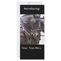 Percheron Horses Rack Cards