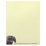 Percheron Letterhead Design